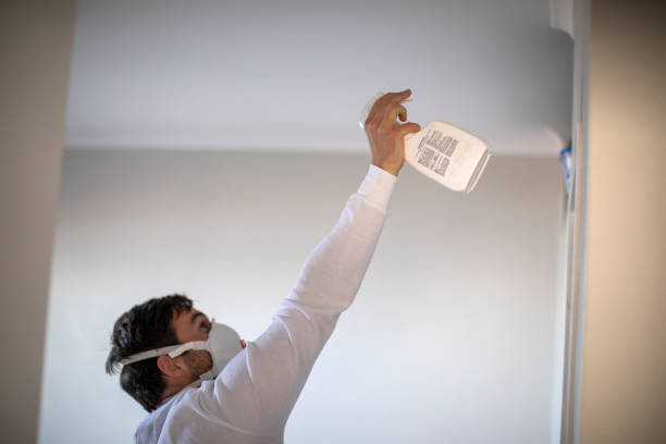 Best Bathroom Mold Remediation in River Heights, UT