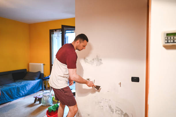 Best Residential Mold Remediation in River Heights, UT